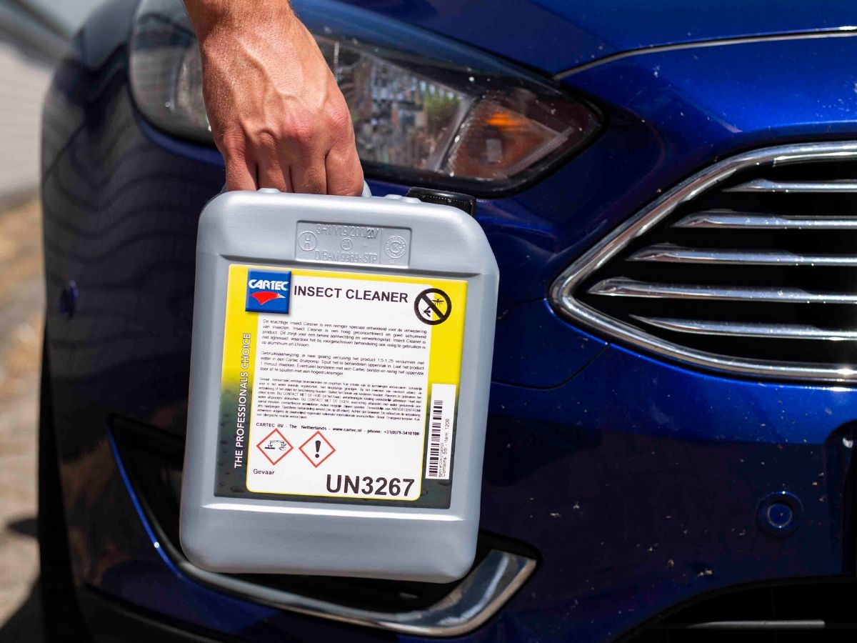 How to easily remove insects from the car - Cartec World
