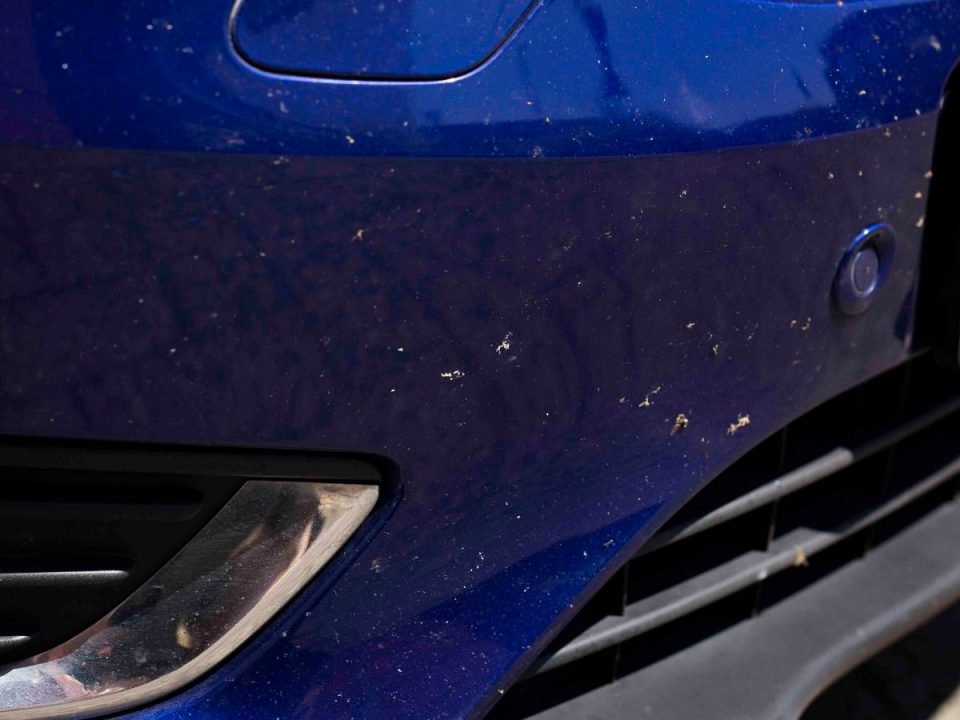 Removing Insects From Car Paintwork